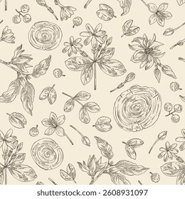 Seamless pattern with cosmetic and medical plants: magnolia champaca, gardenia taitensis, guaiac tree, backaut tree, sichuan pepper. Vector hand drawn illustration