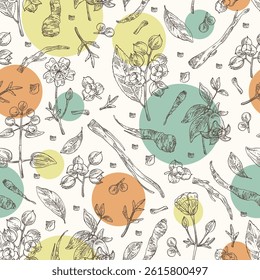 Seamless pattern with cosmetic, parfumery and medical plants: meadowfoam, rubia cordifolia, manjishta, сelastrus paniculatus, codonopsis lanceolata. Vector hand drawn illustration.