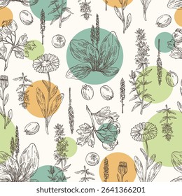 Seamless pattern with cosmetic, parfumery and medical plants: calendula , large plantain, plantago major, hawthorn, hyssopus officinalis. Vector hand drawn illustration.