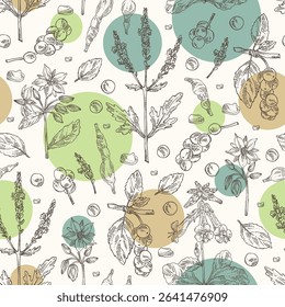 Seamless pattern with cosmetic, parfumery and medical plants: borago officinalis, verbena, schisandra chinise, rehmannia glutinosa. Vector hand drawn illustration.
