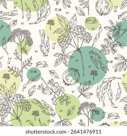 Seamless pattern with cosmetic, parfumery and medical plants: corydalis ambigua, yarrow, sophora japonica, eleutherococcus. Vector hand drawn illustration.