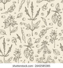 Seamless pattern with cosmetic, parfumery and medical plants: borago officinalis, verbena, schisandra chinise, rehmannia glutinosa. Vector hand drawn illustration.