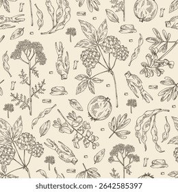 Padrão contínuo com plantas cosméticas, parfumaria e médicas: corydalis ambigua, yarrow, sophora japonica, eleutherococcus. Ilustração desenhada à mão vetorial.