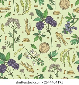 Padrão contínuo com plantas cosméticas, parfumaria e médicas: corydalis ambigua, yarrow, sophora japonica, eleutherococcus. Ilustração desenhada à mão vetorial.