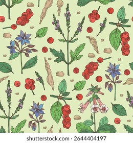 Padrão sem costura com plantas cosméticas, parfumaria e médicas: borago officinalis, verbena, schisandra chinise, rehmannia glutinosa. Ilustração desenhada à mão vetorial.