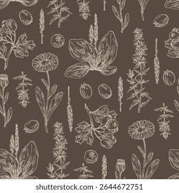 Seamless pattern with cosmetic, parfumery and medical plants: calendula , large plantain, plantago major, hawthorn, hyssopus officinalis. Vector hand drawn illustration.
