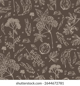 Padrão contínuo com plantas cosméticas, parfumaria e médicas: corydalis ambigua, yarrow, sophora japonica, eleutherococcus. Ilustração desenhada à mão vetorial.