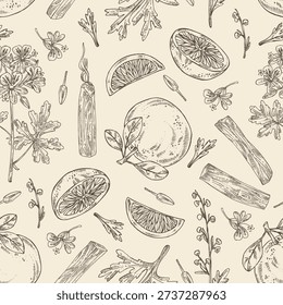 Seamless pattern with cosmetic and parfumery plants: palo santo, geranium, grapefruit, wormwood. Vector hand drawn illustration.
