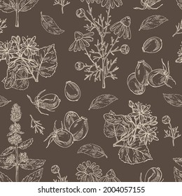 Seamless pattern with cosmetic, perfumery and medical plants: linden flower, mint plant, camomile flowers and dog rose berries. Vector hand drawn illustration