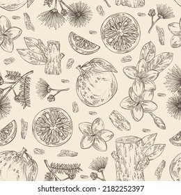 Seamless pattern with cosmetic, perfumery and medical plants: plumeria flowers, frangipani, agar wood, oud tree, yuzu frut, albizia lankaran flowers. Vector hand drawn