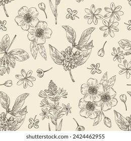 Seamless pattern with cosmetic, perfumery and medical plants: osmanthus, camellia sasanqua, polianthes tuberosa, gardenia taitensis. Vector hand drawn illustration