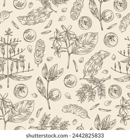 Seamless pattern with cosmetic, perfumery and medical plants: acacia concinna, garcinia indica, holarrhena pubescens, andrographis paniculata. Vector hand drawn illustration