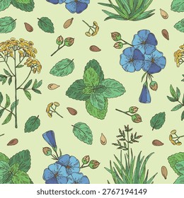 Seamless pattern with cosmetic, perfumery and medical plants: new zealand flax, melissa, flax, tansy. Vector hand drawn illustration