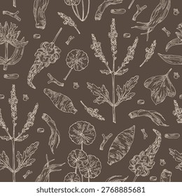 Seamless pattern with cosmetic, perfumery and medical plants: gotu kola, pueraria lobata, verbena, gentiana macrophylla. Vector hand drawn illustration