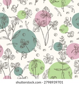 Seamless pattern with cosmetic, perfumery and medical plants: ardisia japonica, lobelia chinensis, cryptotaenia japonica, baikal skullcap. Vector hand drawn illustration