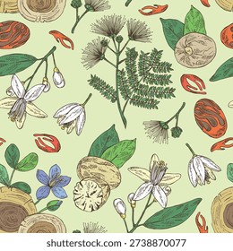 Seamless pattern with cosmetic and perfumery plants: nutmeg, guaiac tree, backaut tree, albizia lankaran, neroli. Vector hand drawn illustration.