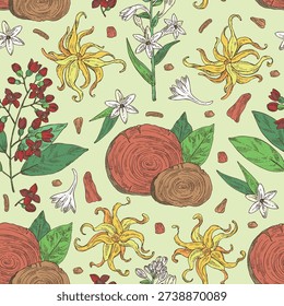 Seamless pattern with cosmetic and perfumery plants: sandalwood, ylang-ylang, polianthes tuberosa, teak tree. Vector hand drawn illustration.