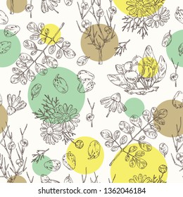 Seamless pattern with cosmetics and medical plant: moringa, shea nut, camomile and ephedra. Vector hand drawn illustration. 