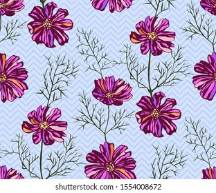 Seamless pattern with Cosmos bipinnatus. Hand drawing decorative background. Vector pattern. Print for textile, cloth, wallpaper, scrapbooking