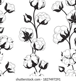 Seamless pattern with cotton bolls and branch. Cotton flowers and balls floral tile backdrop