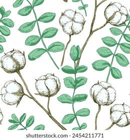 Seamless pattern with cotton and eucalyptus branches. Vector illustration in retro detailed style.