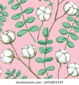 Seamless pattern with cotton and eucalyptus branches. Vector illustration in retro detailed style.