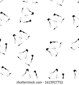 Seamless pattern with couple 
penguin Animal illustration perfect for design greeting cards, prints, flyers,cards,holiday invitations and more.Vector  card on isolated background