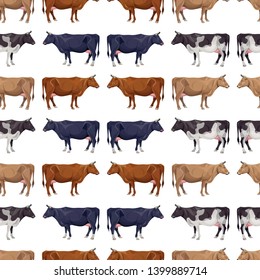 Seamless pattern with cows different colors. Vector illustration isolated on white background
