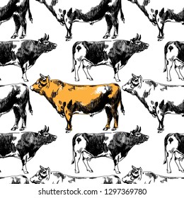 
Seamless pattern with cows. Freehand drawing. Vintage background. Cows and bulls.