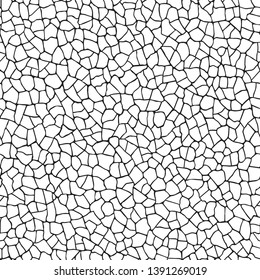  Seamless pattern.The cracks texture white and black. Vector background