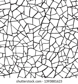  Seamless pattern.The cracks texture white and black. Vector background