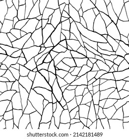  Seamless pattern. cracks texture white and black.  Vector background  