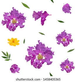 Seamless pattern of crape myrtle and cosmos flower colorful realistic flower isolated on white background, vector illustratiom.