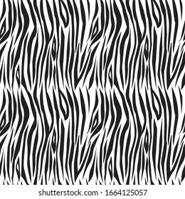 Zebra Images, Stock Photos & Vectors | Shutterstock