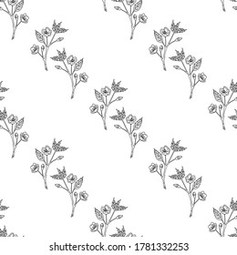 Seamless pattern with creative black-and-white sakura branches on white background. Vector image. 
