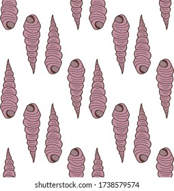 Seamless pattern with creative sea shells on white background. Vector image. 
