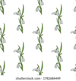 Seamless pattern with creative spring snowdrops on white background. Vector image. 