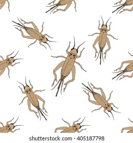 Seamless pattern with cricket or grig. Gryllus campestris.    hand-drawn cricket. grig. . Vector illustration