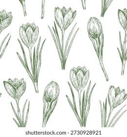 Seamless pattern with crocus flowers in sketchy realistic style. Hand-drawn illustration.