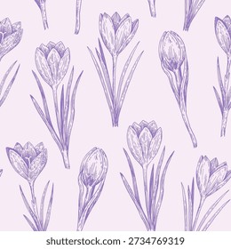 Seamless pattern with crocus flowers in sketchy realistic style. Hand-drawn illustration.