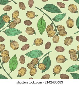 Nahtloses Muster mit Croton Tiglium: Croton Tiglium Pflanze, Blätter und Croton Tiglium Früchte. Kosmetik, Parfüm und medizinische Anlagen. Vektorgrafik, handgezeichnet.
