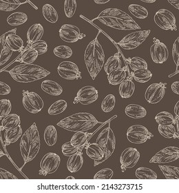 Seamless pattern with croton tiglium: croton tiglium plant, leaves and croton tiglium fruits. Cosmetic, perfumery and medical plant. Vector hand drawn illustration.