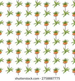 Seamless pattern with Crown imperial or Kurdish tulip (Fritillaria imperialis), Vector illustration