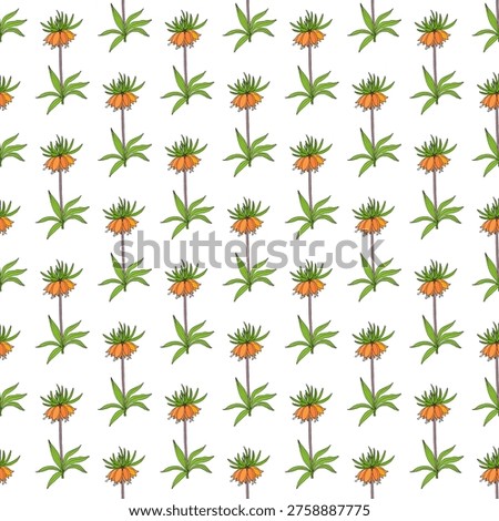 Seamless pattern with Crown imperial or Kurdish tulip (Fritillaria imperialis), Vector illustration
