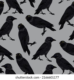 Seamless pattern with crows in different angles on a gray background