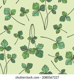 Seamless pattern with cryptotaenia japonica: cryptotaenia leaves and plant. Honewort. Mitsuba Plant. Herbs and spices. Vector hand drawn illustration.