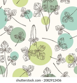 Seamless pattern with cryptotaenia japonica: cryptotaenia leaves and plant. Honewort. Mitsuba Plant. Herbs and spices. Vector hand drawn illustration.