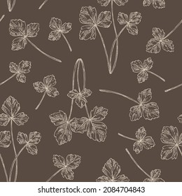 Seamless pattern with cryptotaenia japonica: cryptotaenia leaves and plant. Honewort. Mitsuba Plant. Herbs and spices. Vector hand drawn illustration.