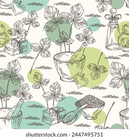 Seamless pattern with cryptotaenia japonica: cryptotaenia leaves and plant. Honewort. Mitsuba Plant. Oil, soap and bath salt . Cosmetics and medical plant. Vector hand drawn illustration