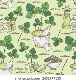 Seamless pattern with cryptotaenia japonica: cryptotaenia leaves and plant. Honewort. Mitsuba Plant. Oil, soap and bath salt . Cosmetics and medical plant. Vector hand drawn illustration